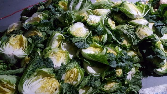 A+서울실버노인전문요양원 이미지 2