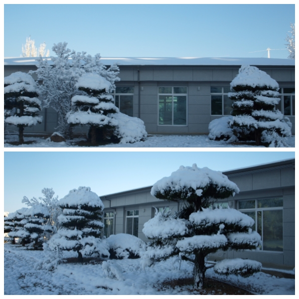 광덕원 이미지 5