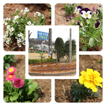 (고양)서울요양원 이미지 10