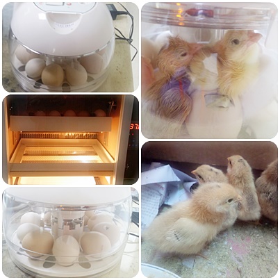 (고양)서울요양원 이미지 8