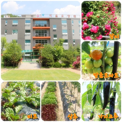 (고양)서울요양원 이미지 6