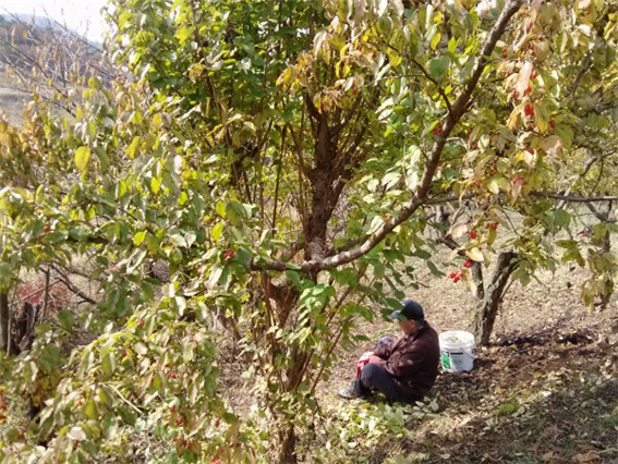 경산실버요양의집공동생활가정 이미지 5