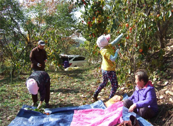 경산실버요양의집공동생활가정 이미지 4