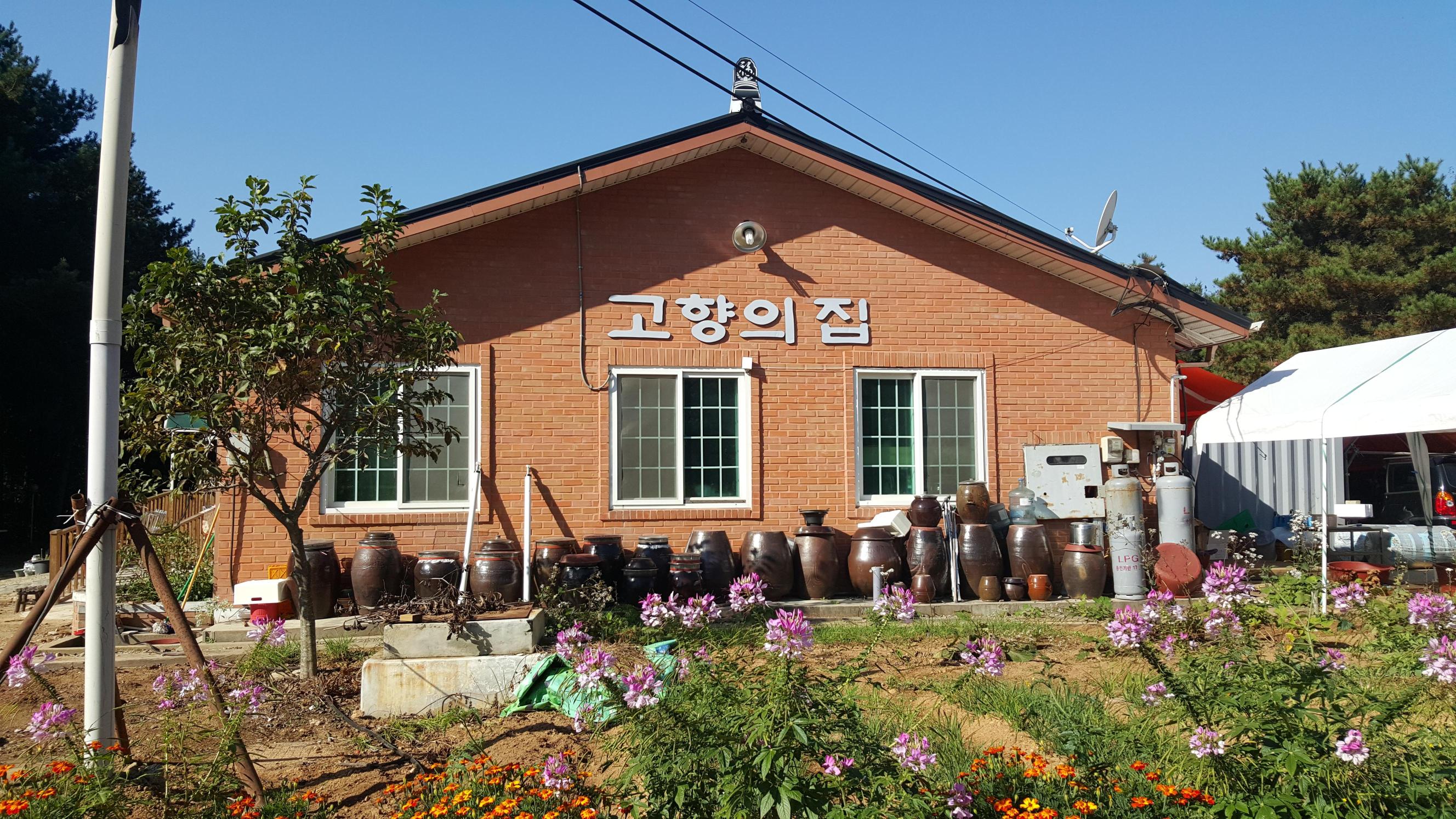 고향의집요양원