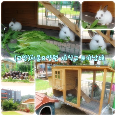 (고양)서울요양원 이미지 5