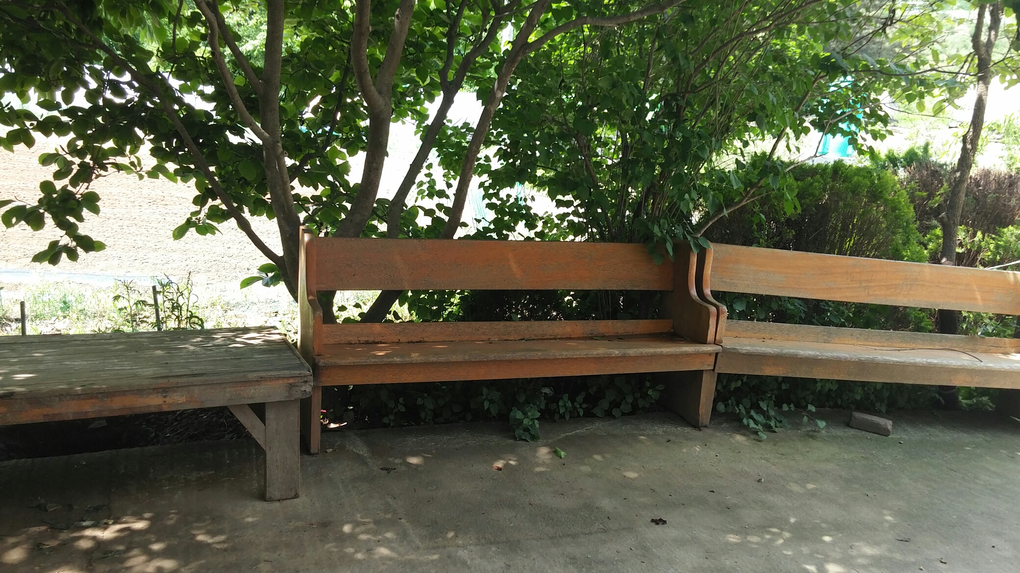 갈릴리노인요양공동생활가정 이미지 9