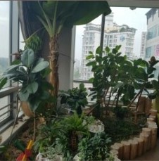 (유성)플래티늄요양원 이미지 5