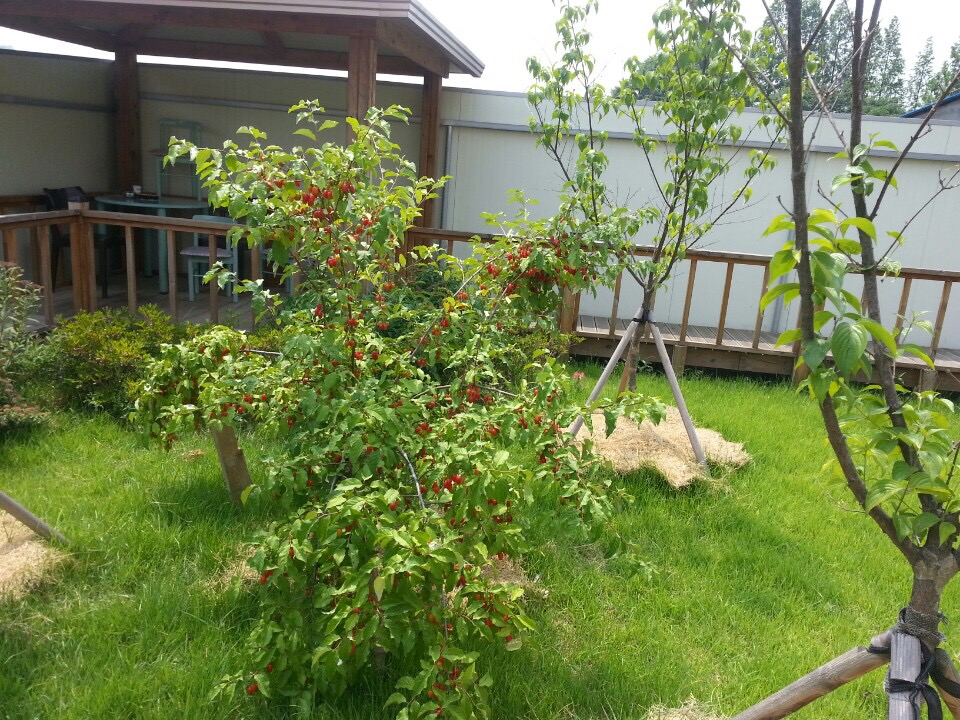 가람요양원 이미지 5