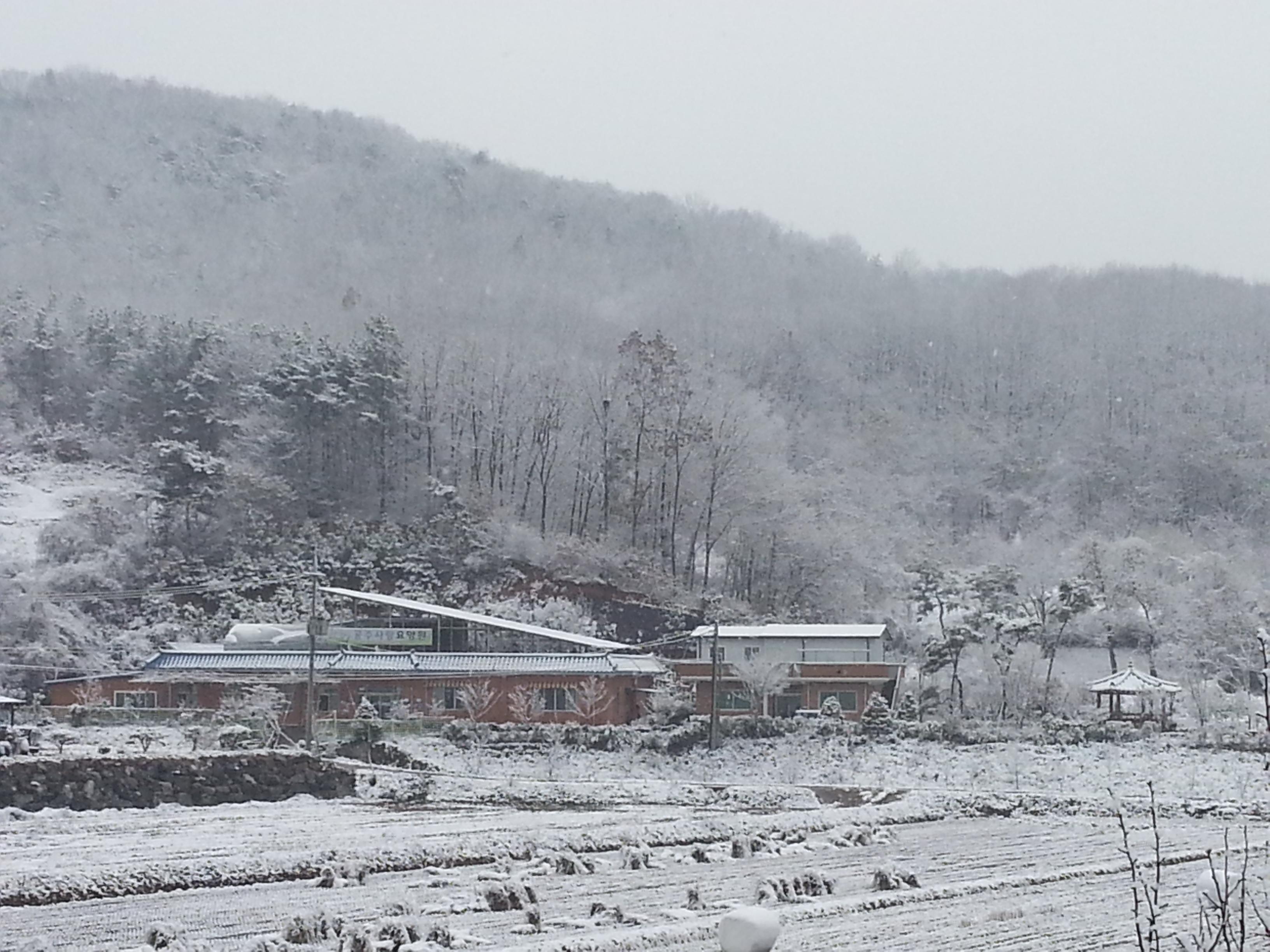 공주사랑요양원 이미지 7