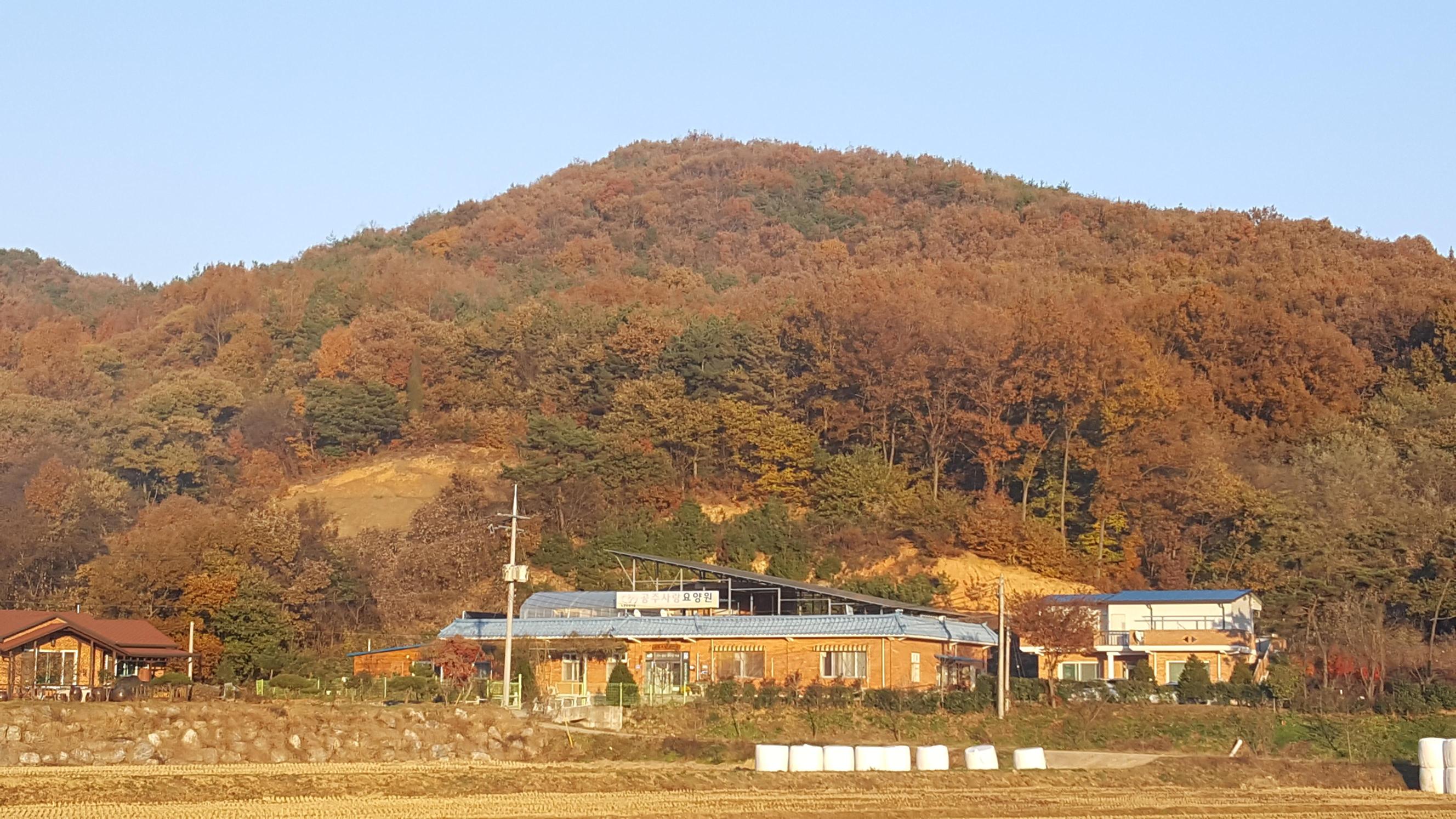 공주사랑요양원 이미지 6