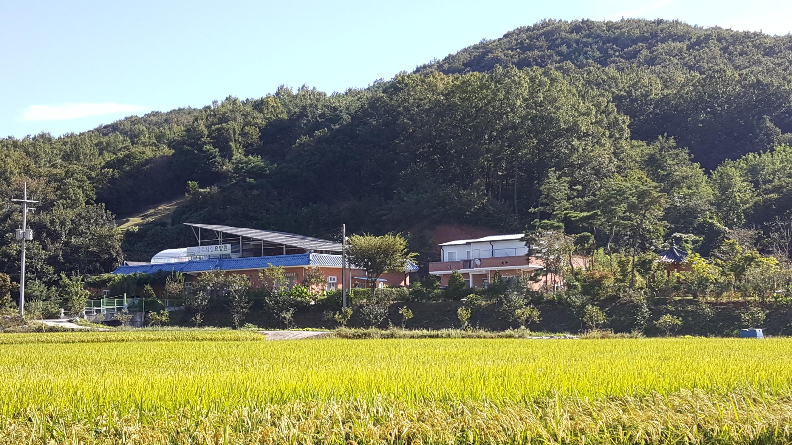 공주사랑요양원 이미지 5