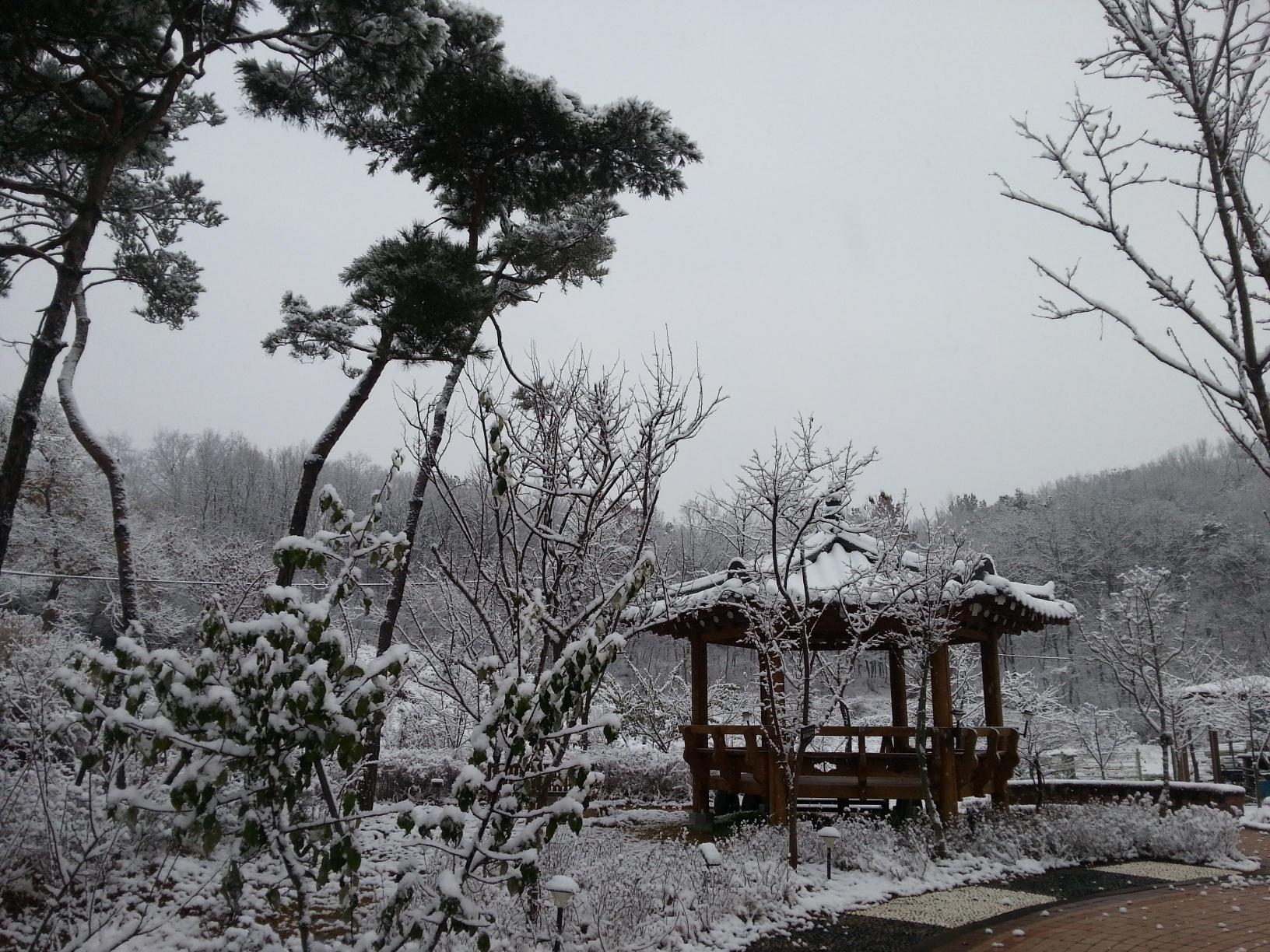 공주사랑요양원 이미지 4