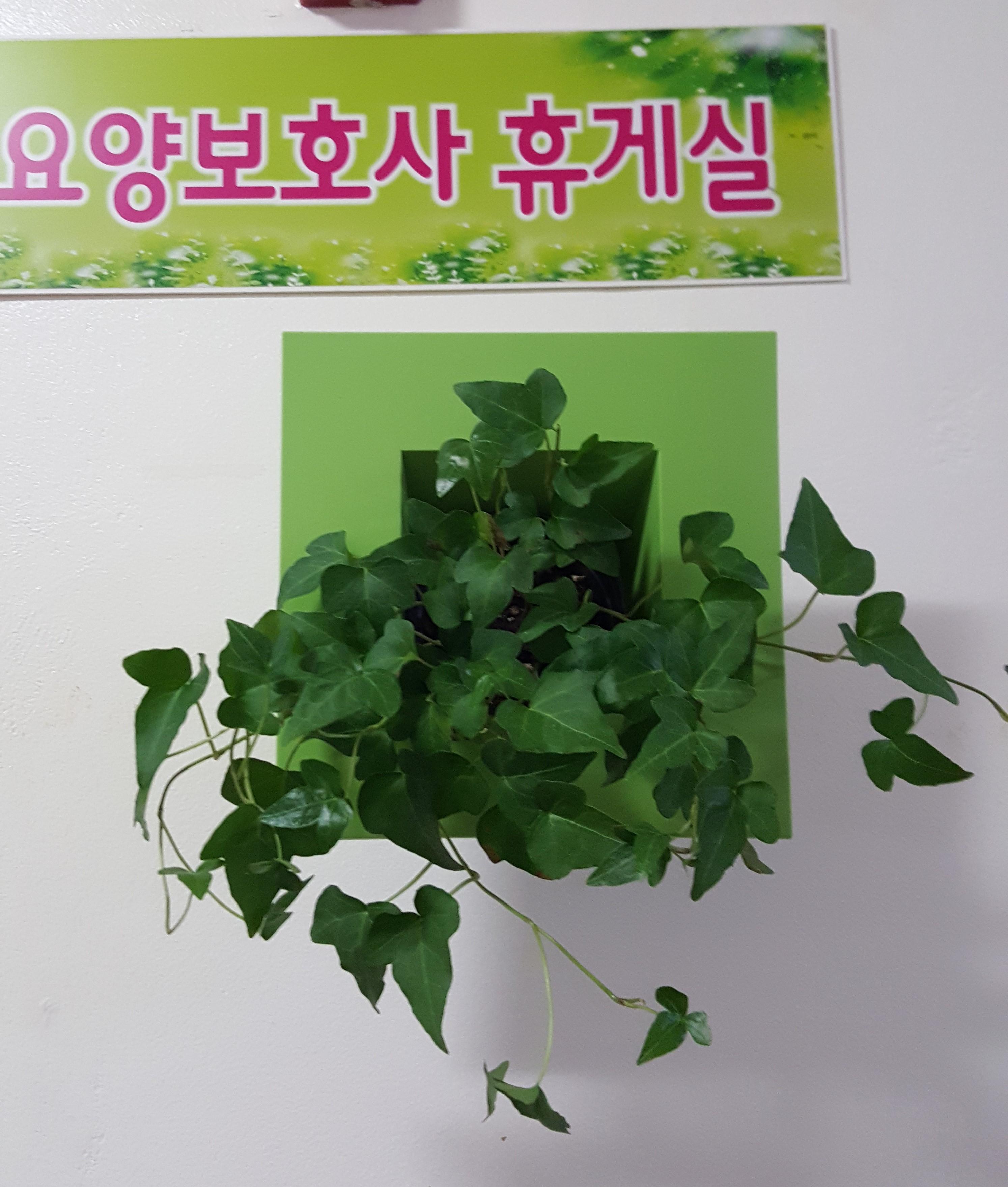 공주사랑요양원 이미지 20