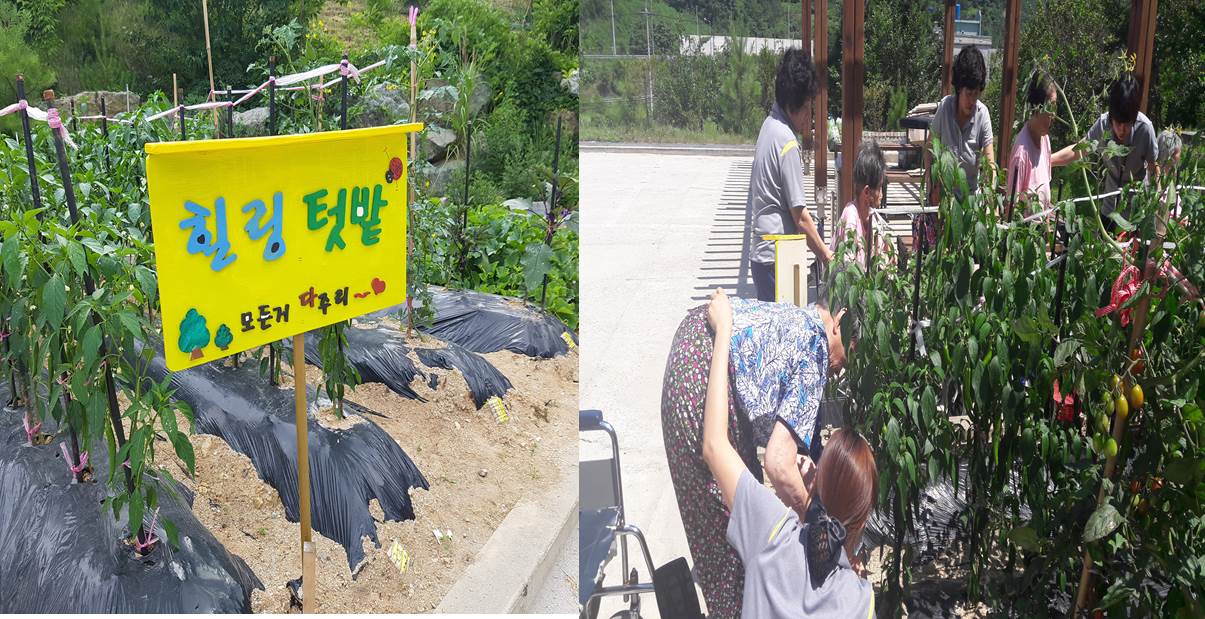 고흥종합노인요양원 이미지 2