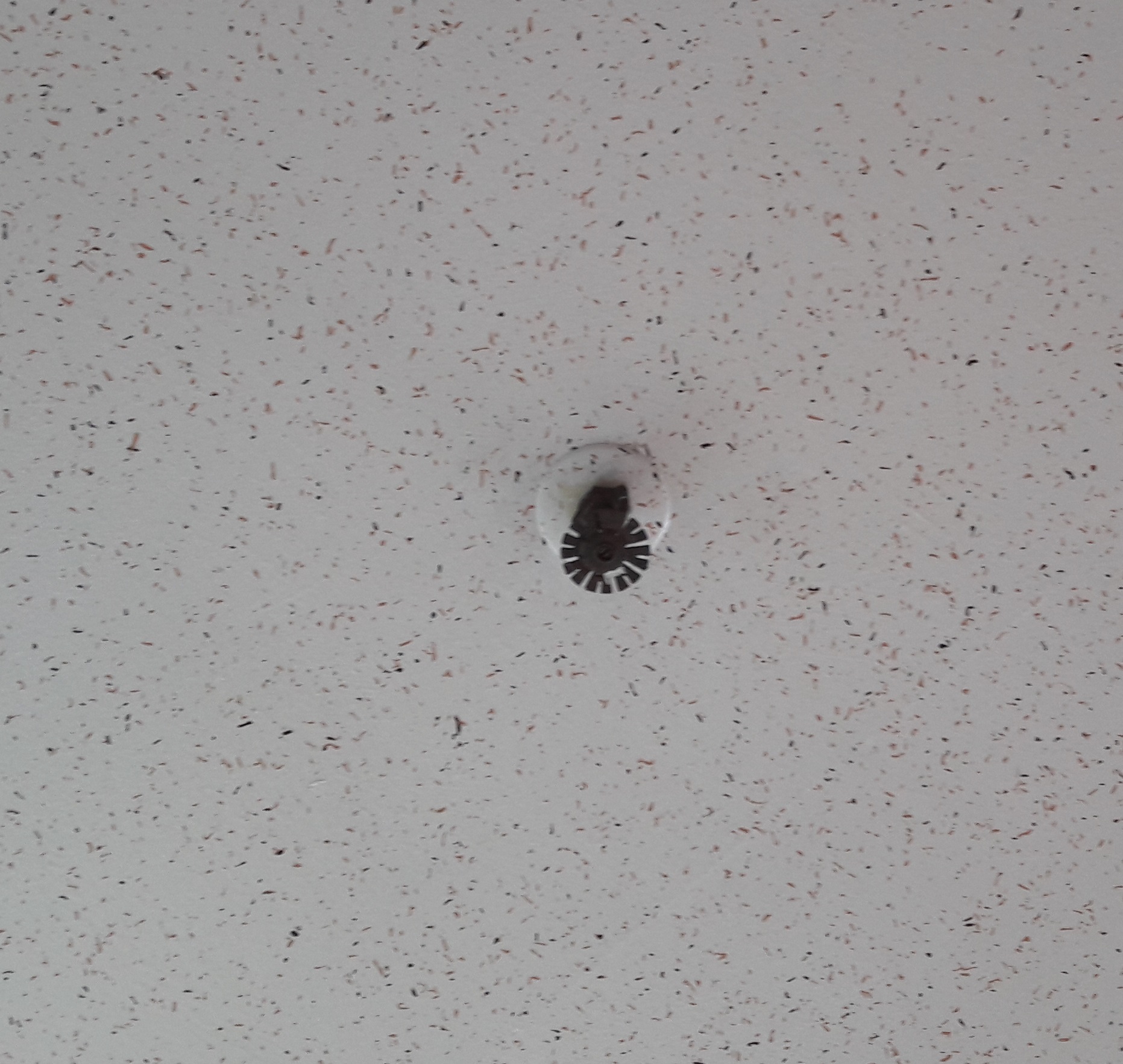 관촌원광수양원 이미지 20