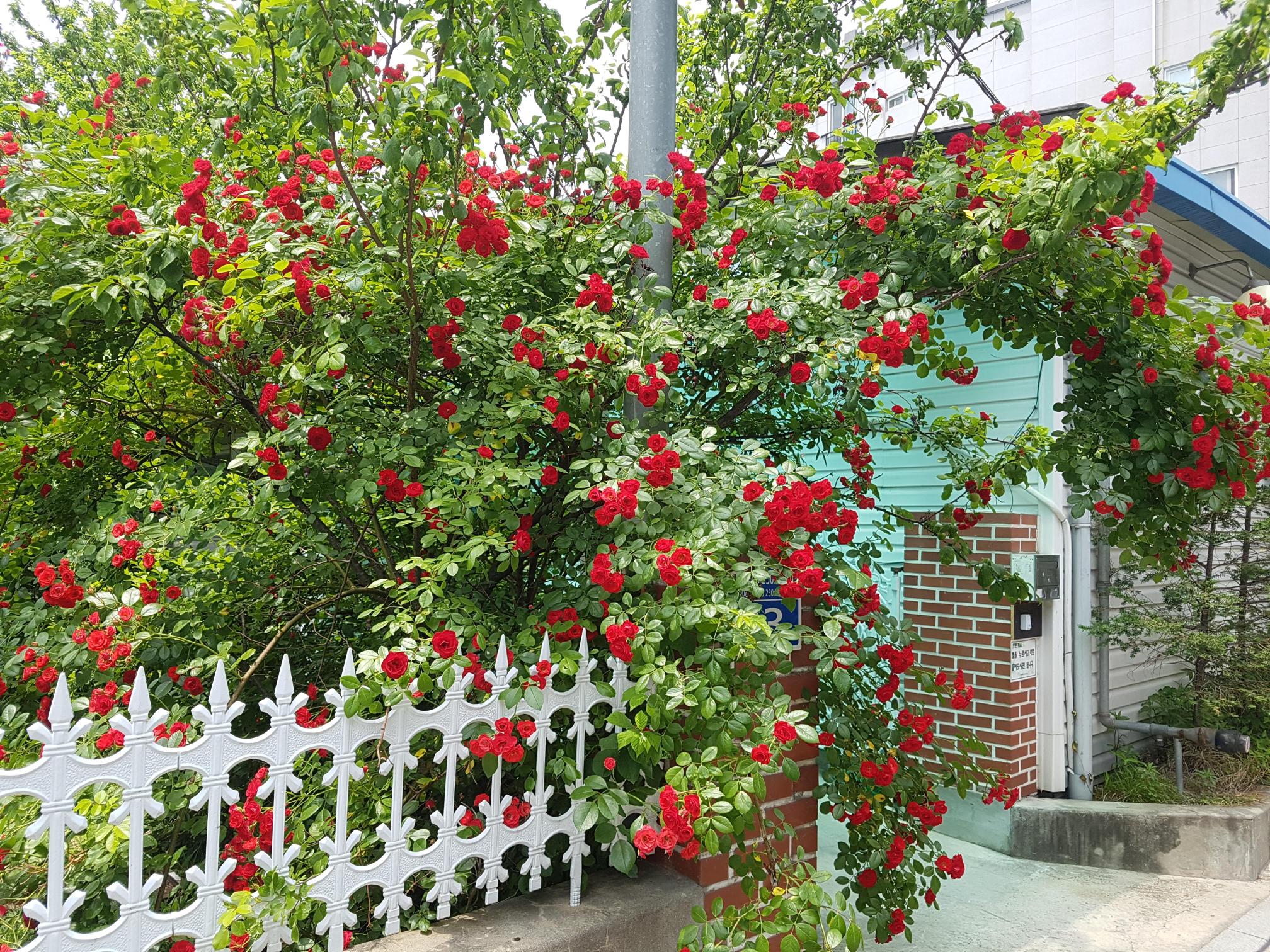 A+행복한그린요양원 이미지 5