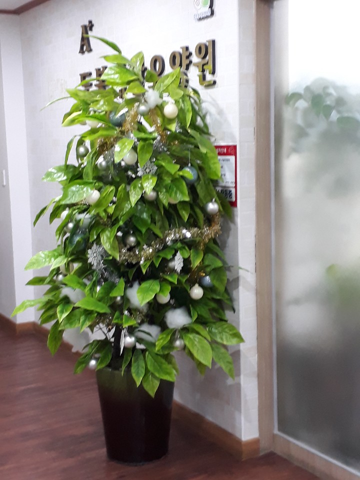 A+도봉재활요양원 이미지 28