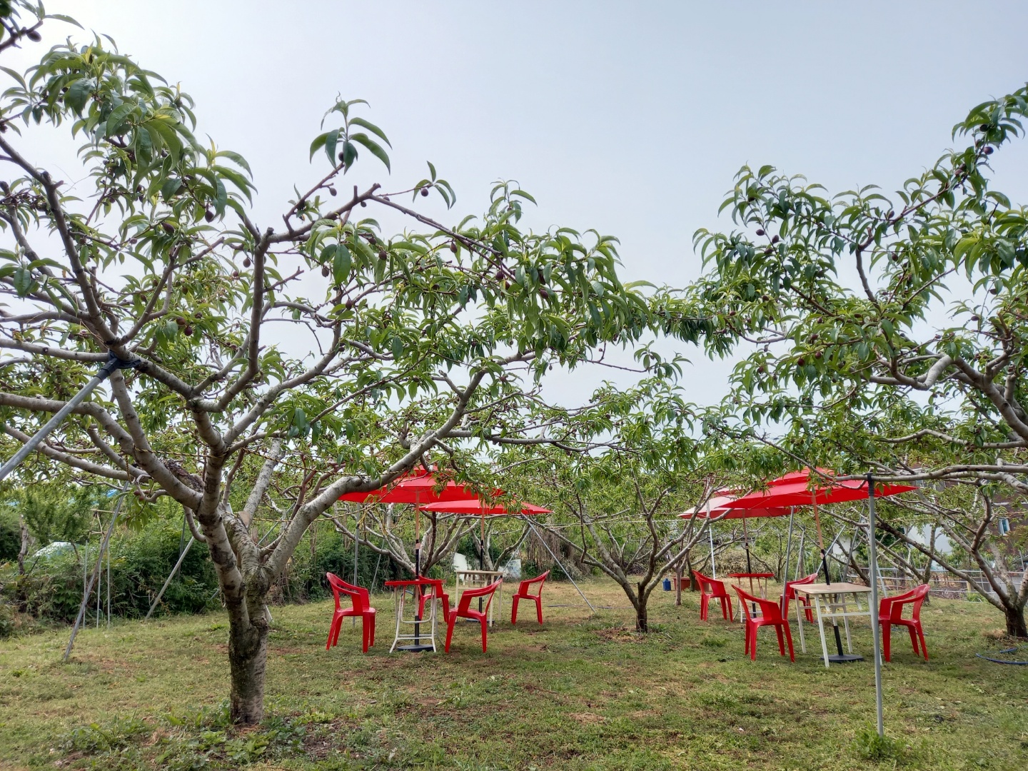 경산실버요양의집공동생활가정 이미지 17