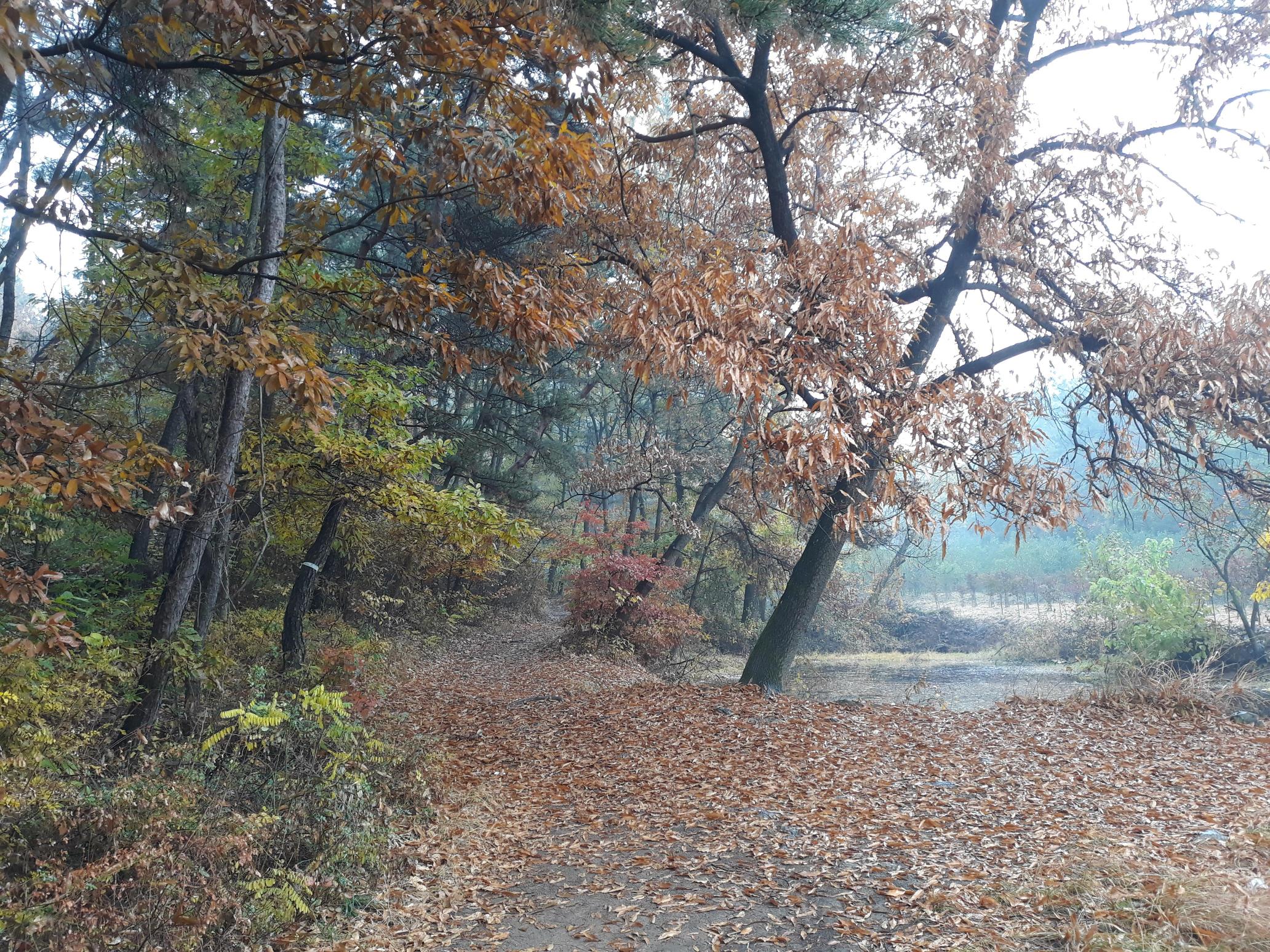 갈릴리노인요양공동생활가정 이미지 2