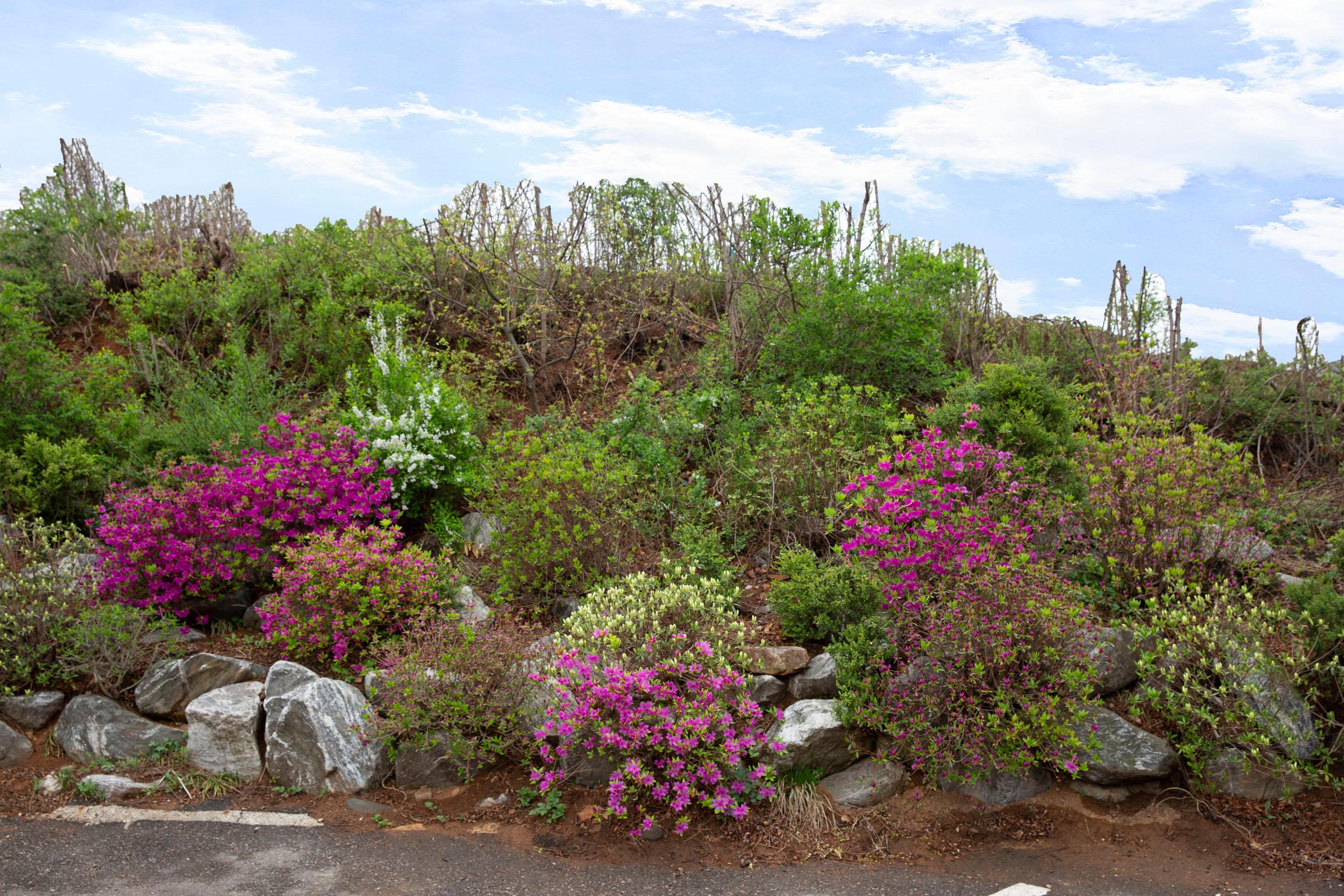 강화군 요양원 이미지 3