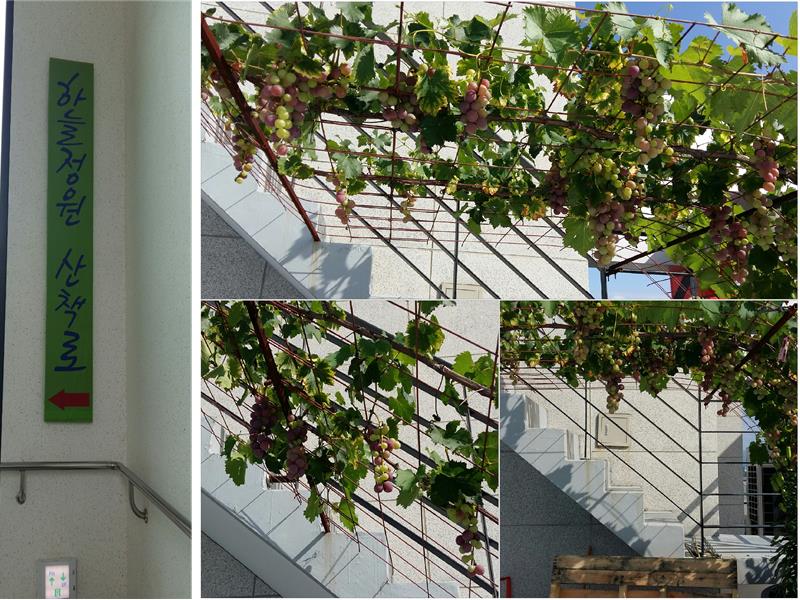 CNK 실버빌 이미지 2