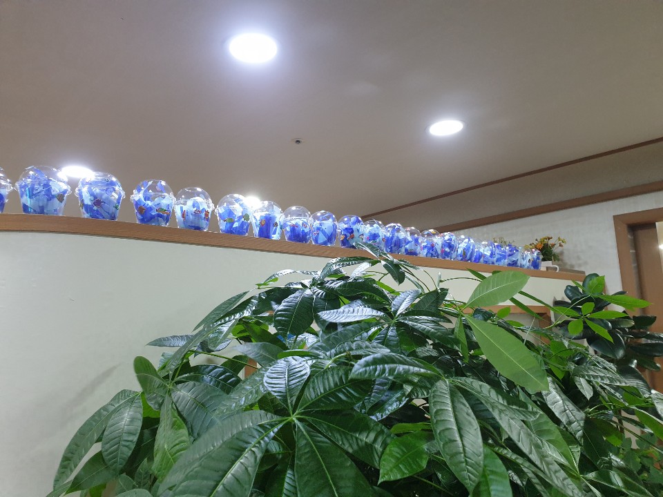 A+도봉재활요양원 이미지 4