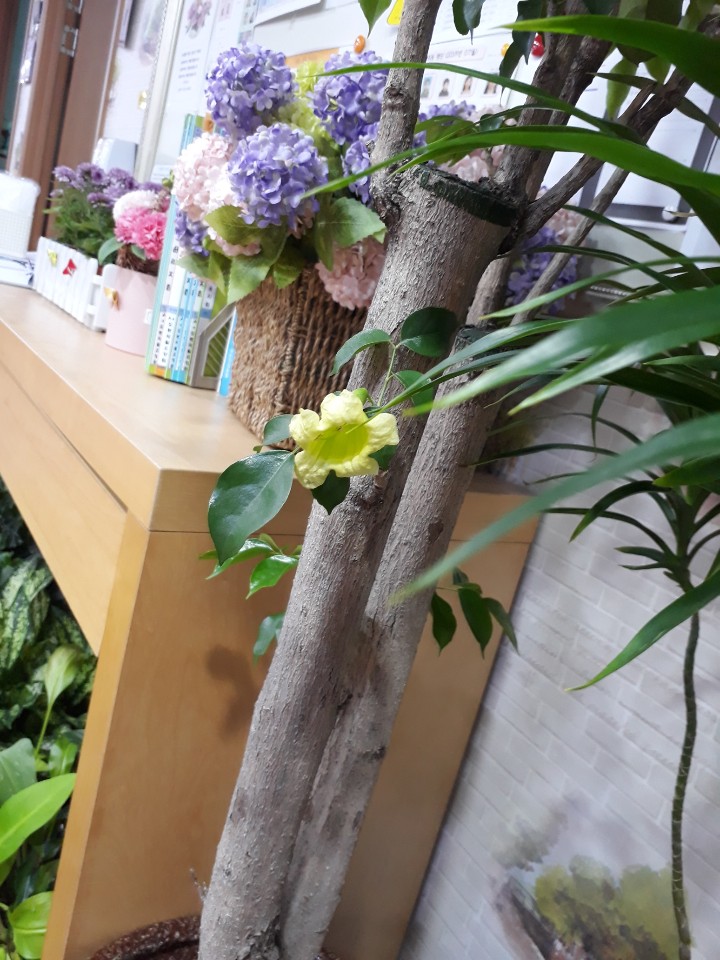 A+도봉재활요양원 이미지 3