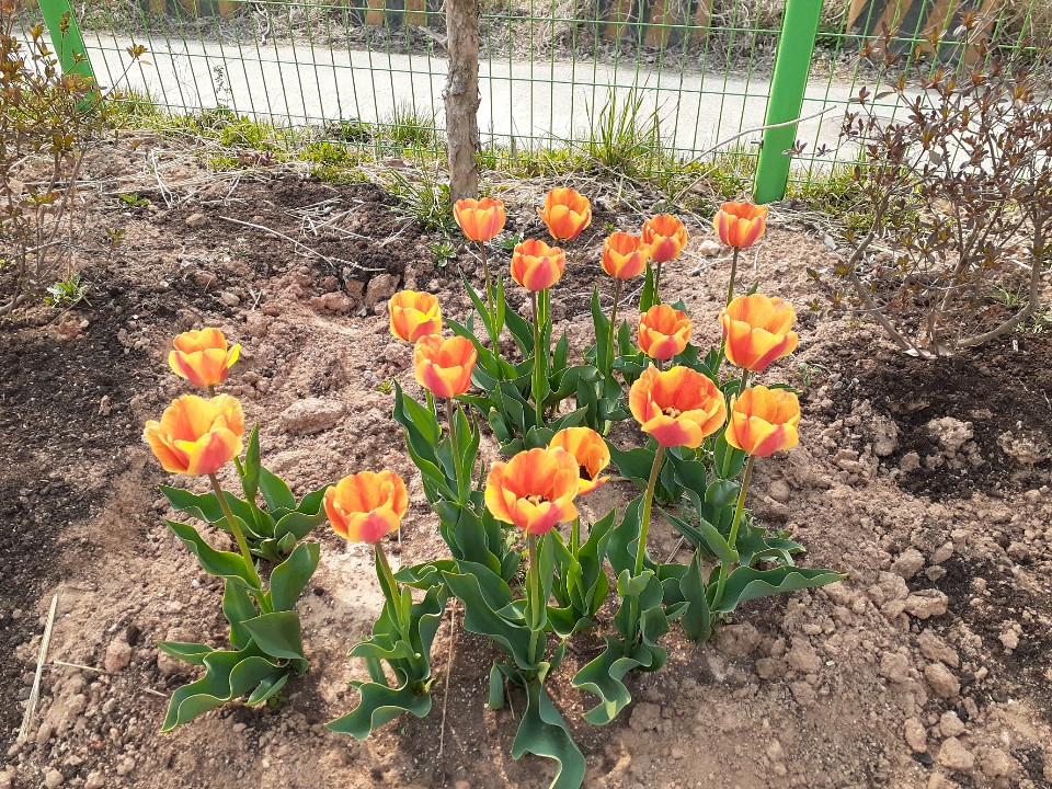 (고양)서울요양원 이미지 4