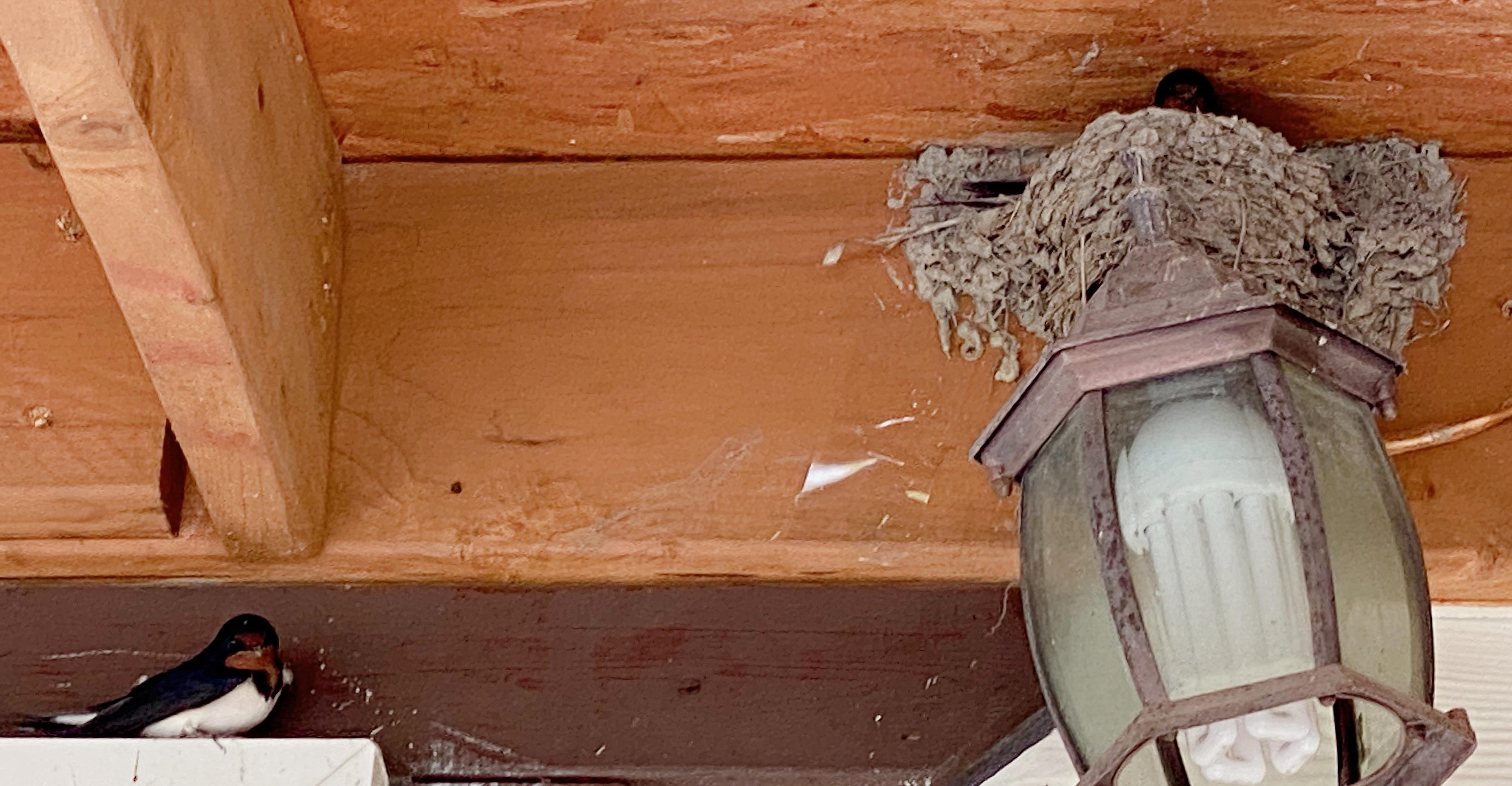 A+행복한요양원 이미지 5