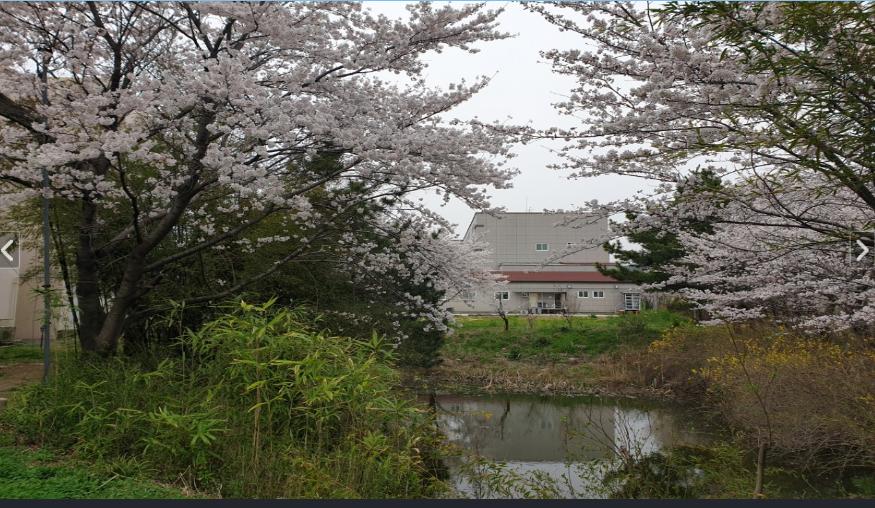 간호나라요양원 이미지 4