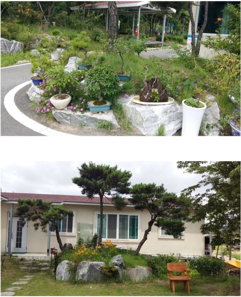 간호나라요양원