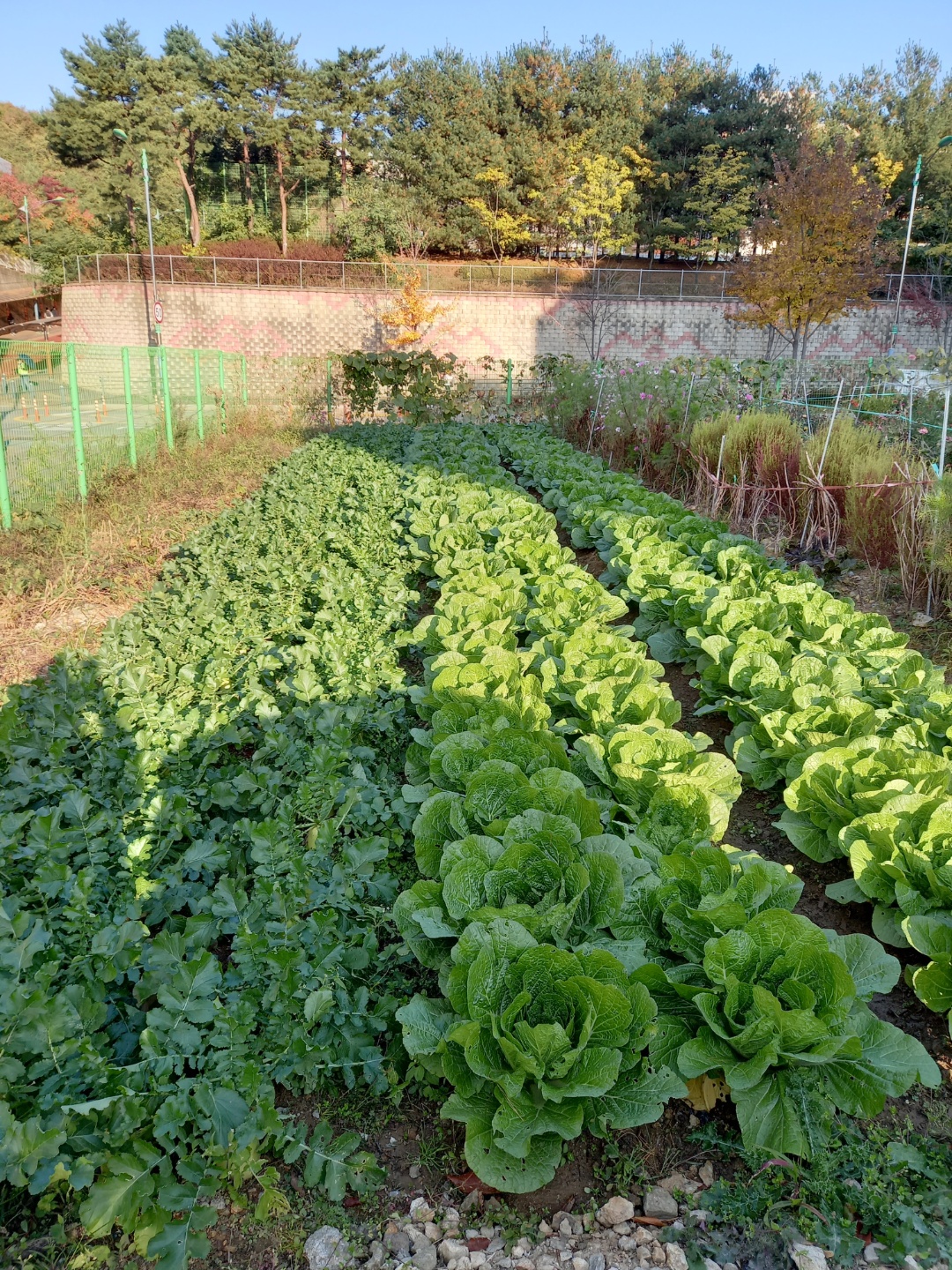 구성노인전문요양원 이미지 3