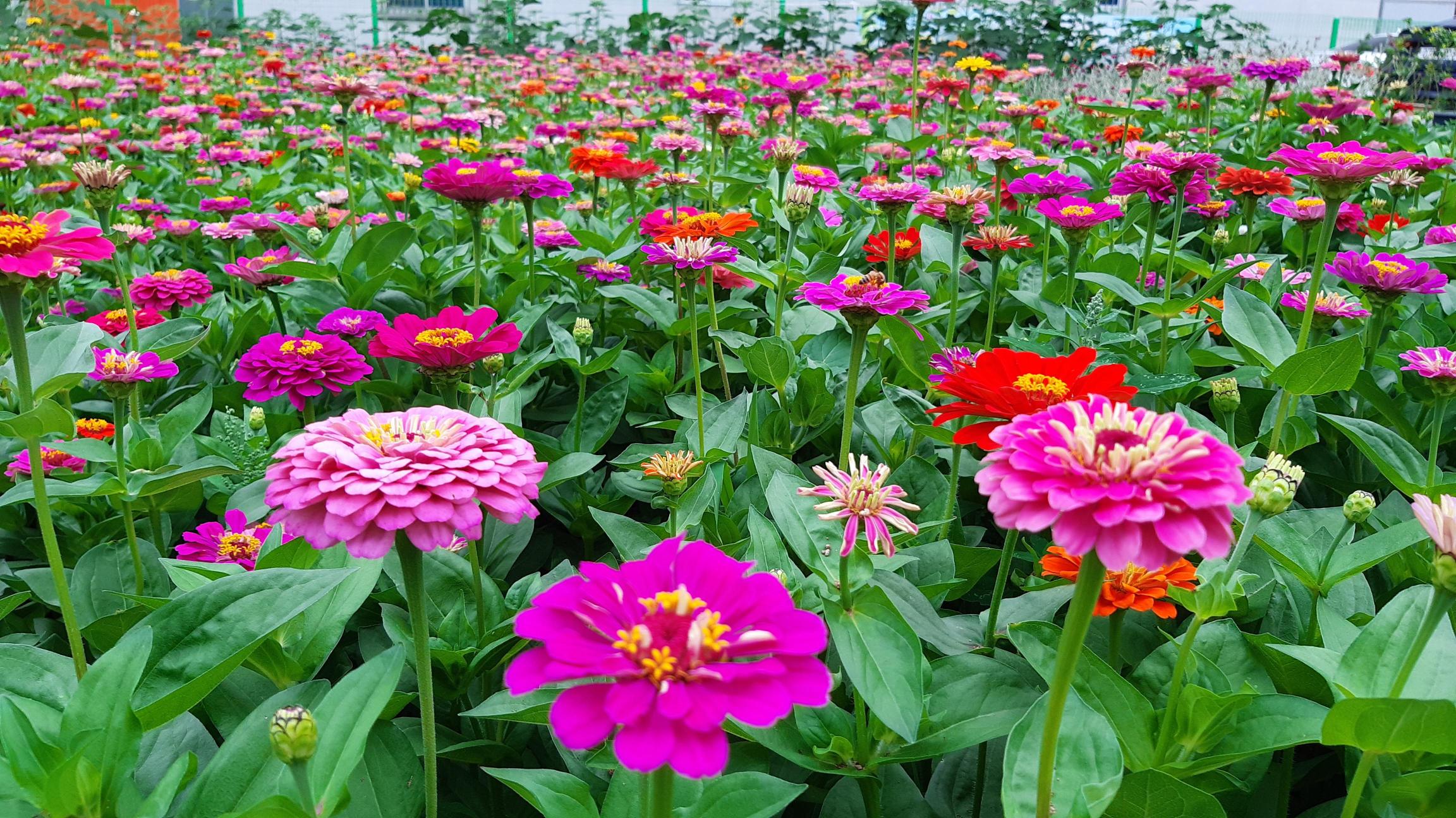 구성노인전문요양원 이미지 5