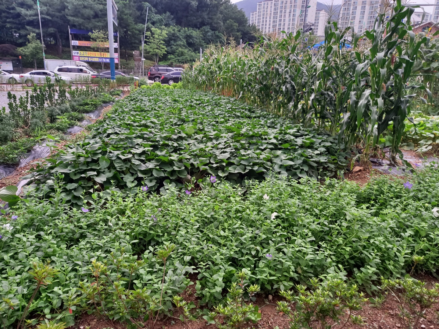 구성노인전문요양원 이미지 2