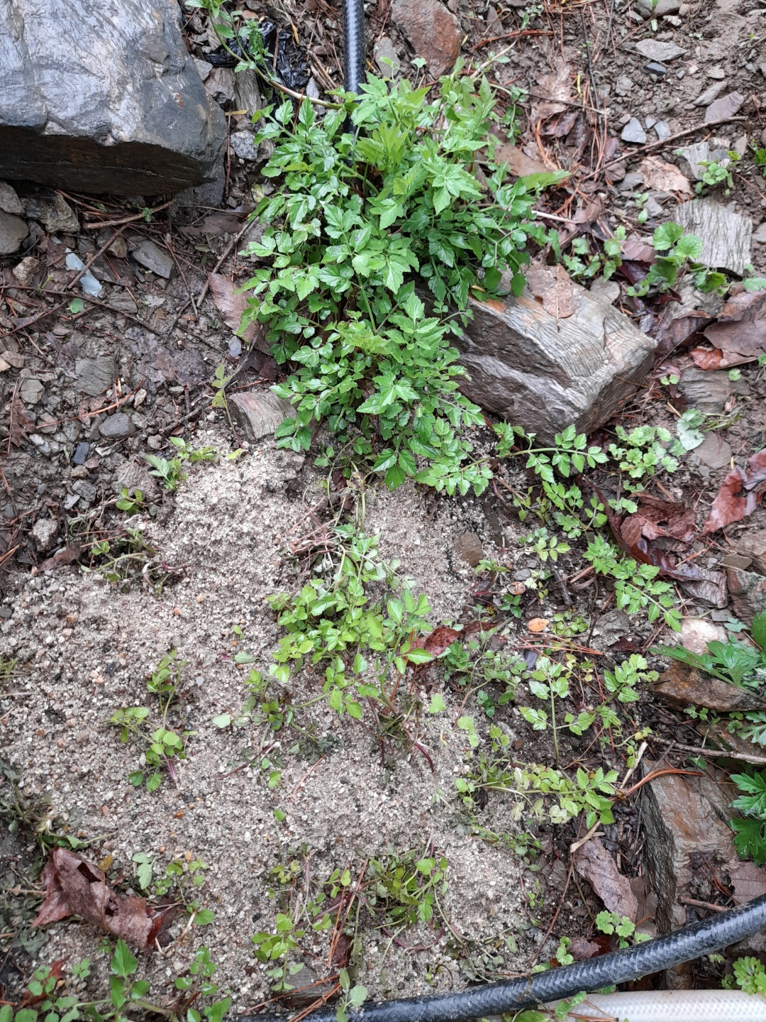 괴산제일요양원