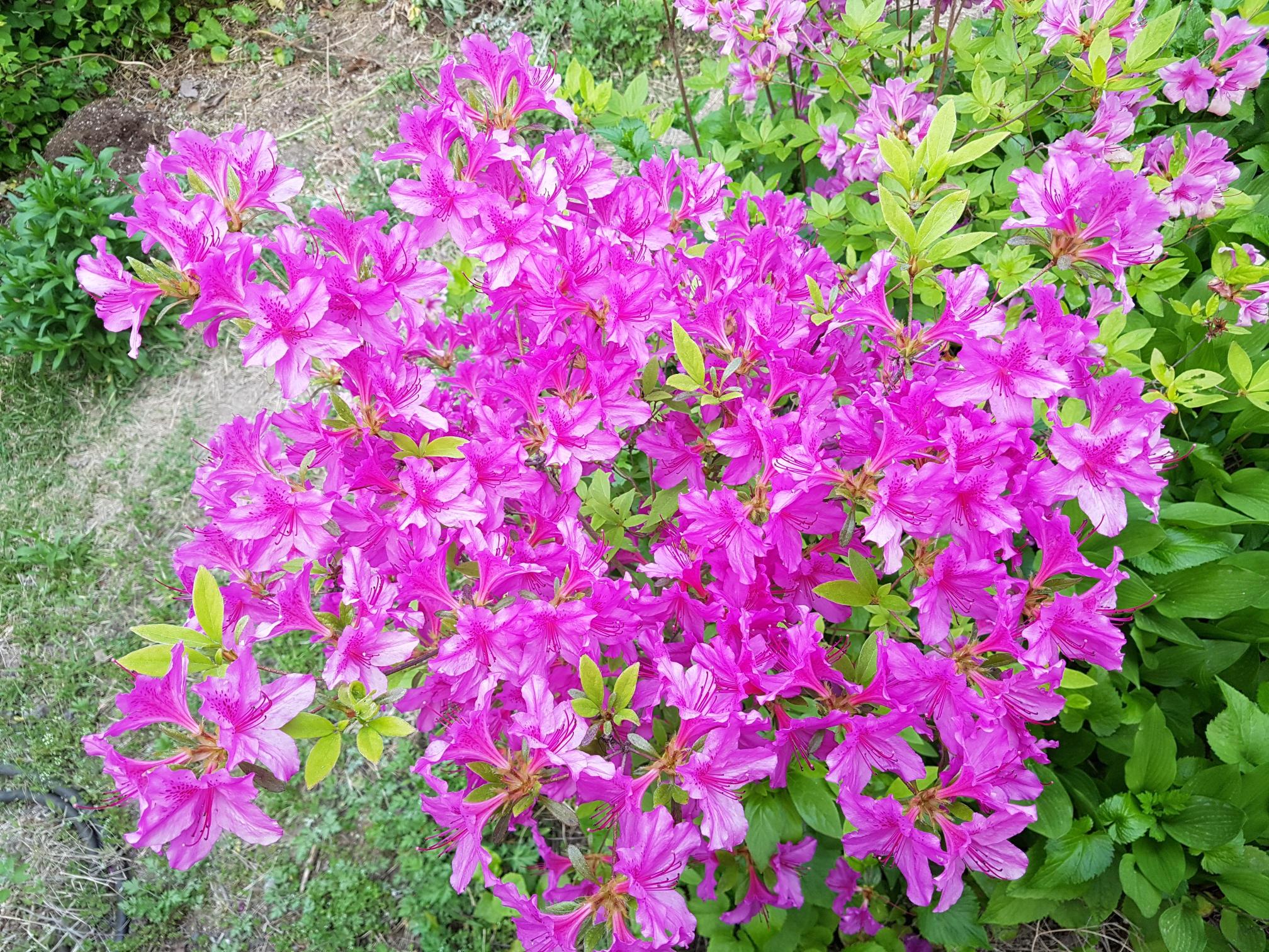 A+행복한그린요양원 이미지 2