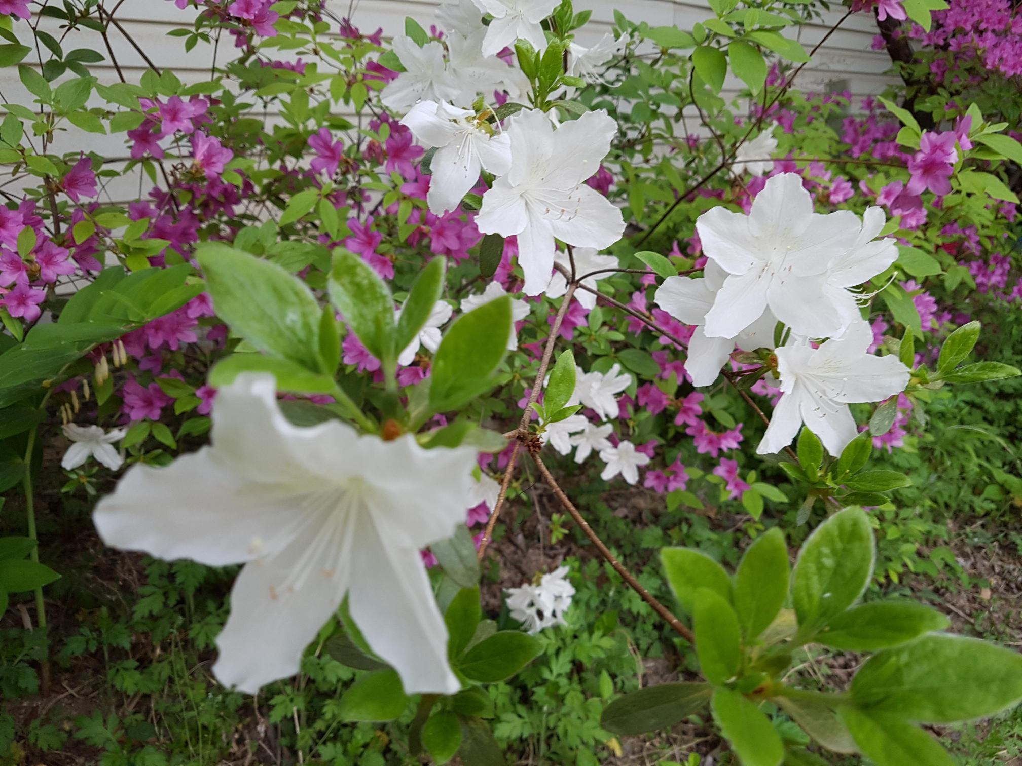 A+행복한그린요양원 이미지 3