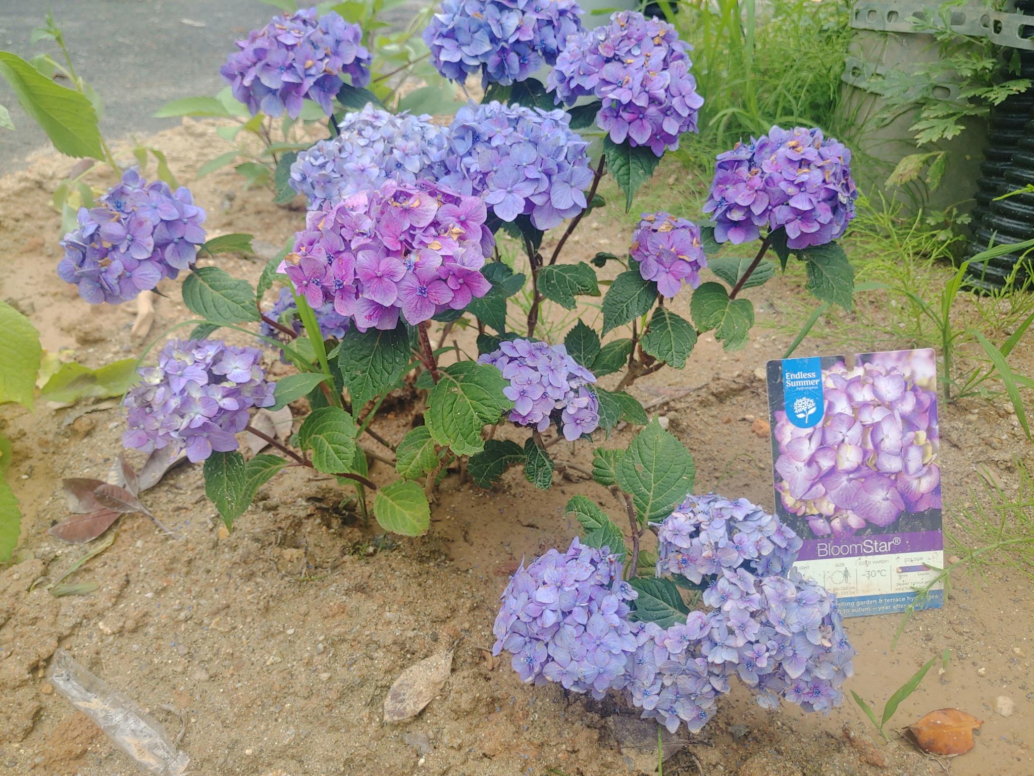 강릉부모사랑 이미지 25