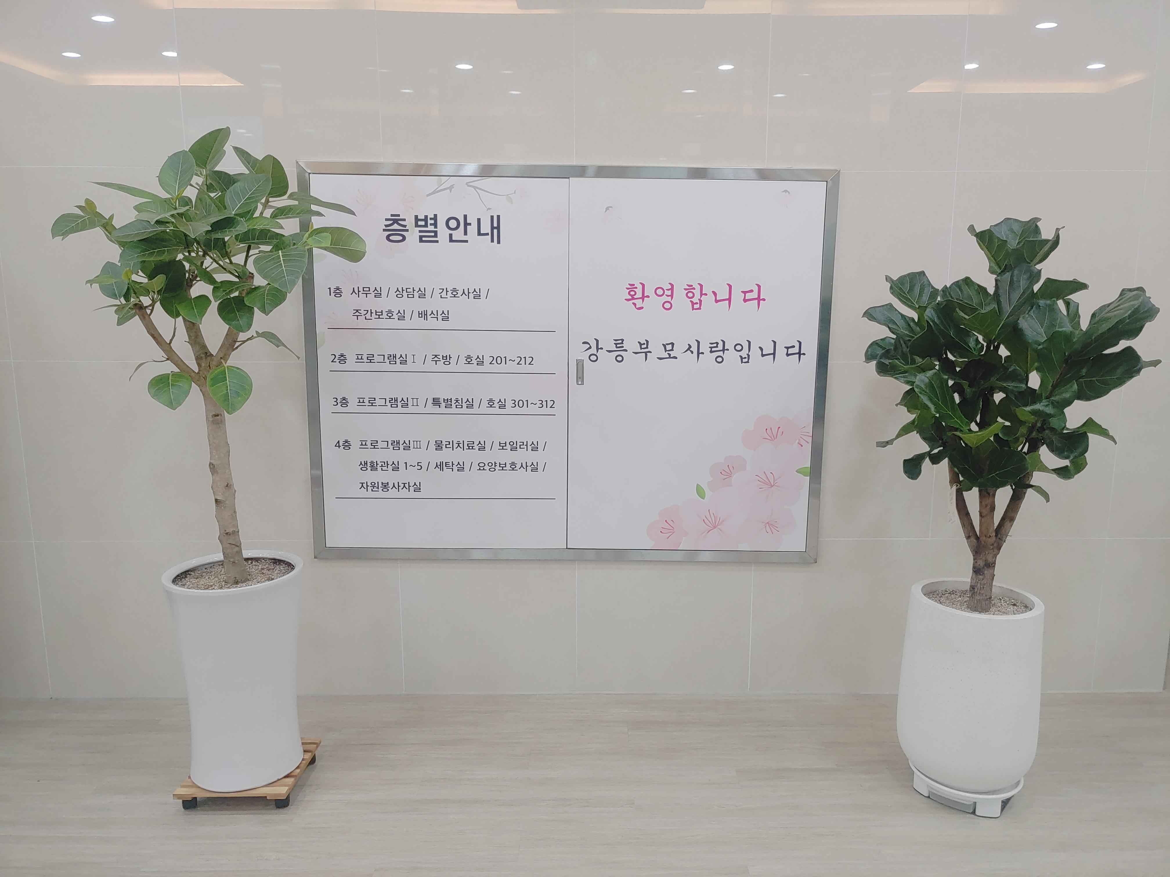 강릉부모사랑 이미지 20