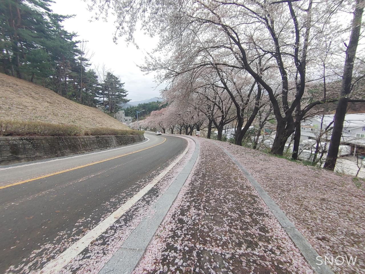 강릉부모사랑 이미지 15