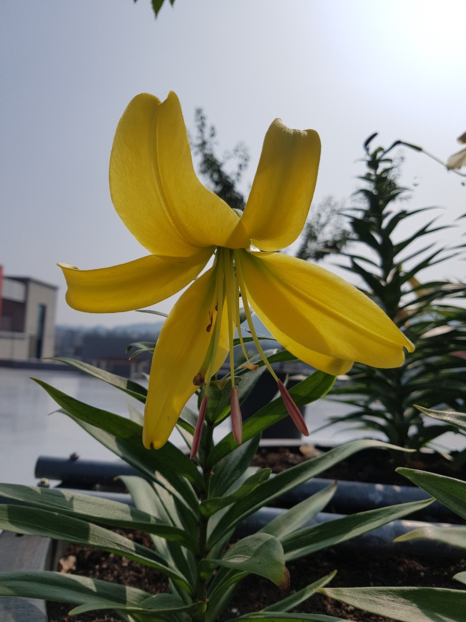 CNK 실버빌 이미지 9