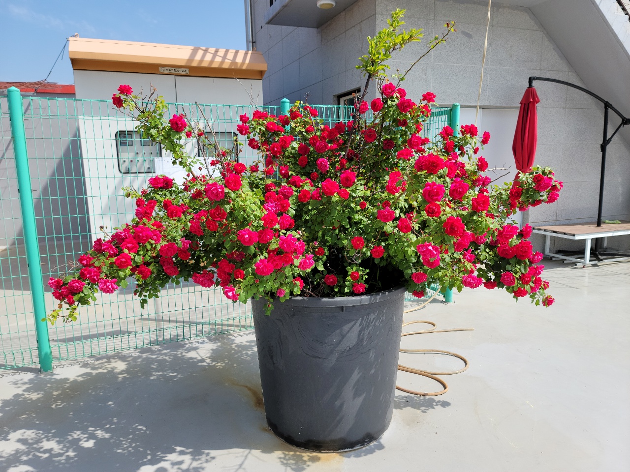 CNK 실버빌 이미지 6