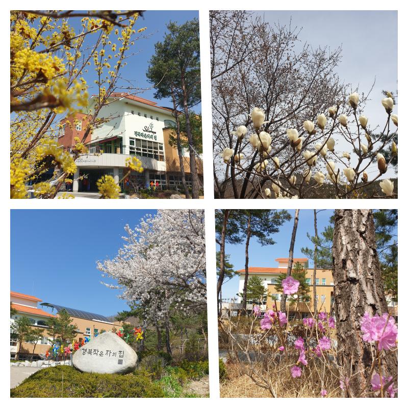 경북작은자의집