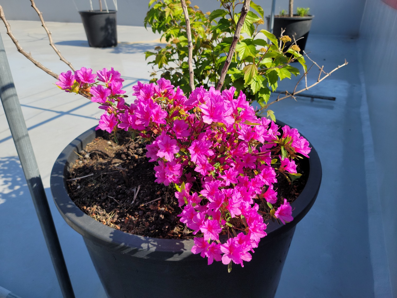 CNK 실버빌 이미지 5