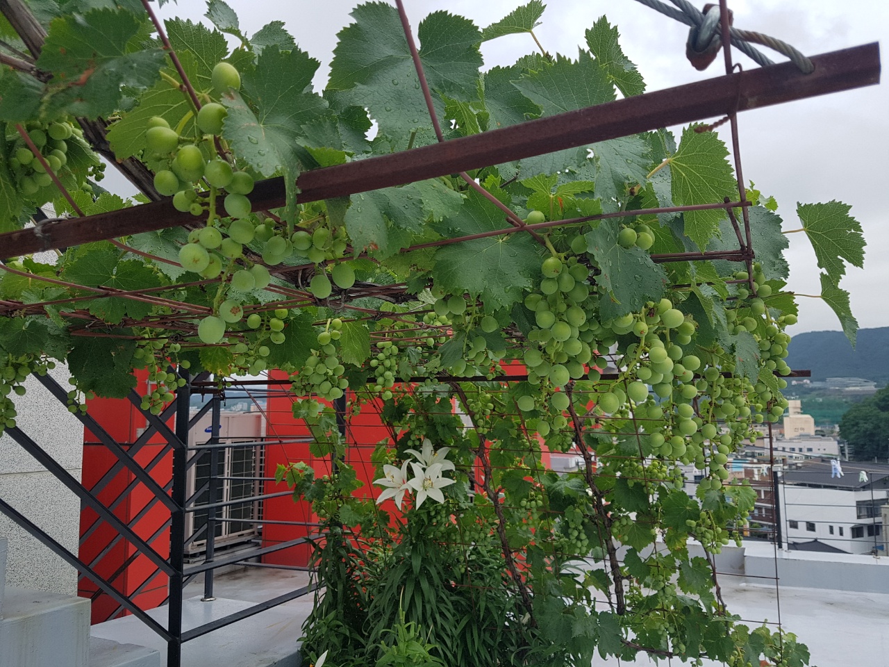 CNK 실버빌 이미지 4