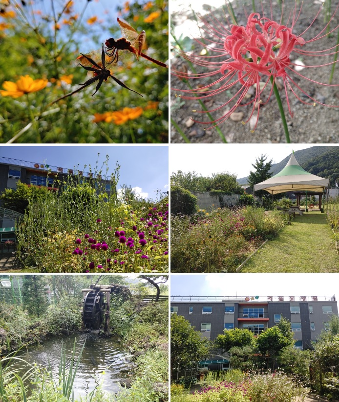 (고양)서울요양원