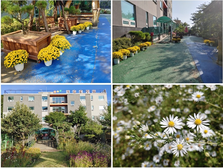 (고양)서울요양원 이미지 3