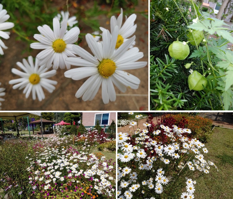 (고양)서울요양원 이미지 2