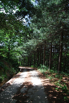 가나의작은행복 이미지 3