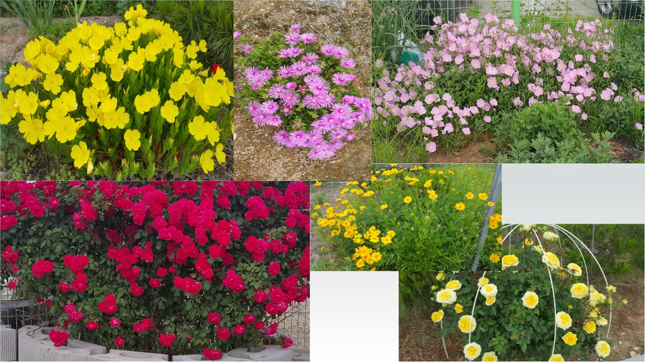 군산함께하는요양원 이미지 6